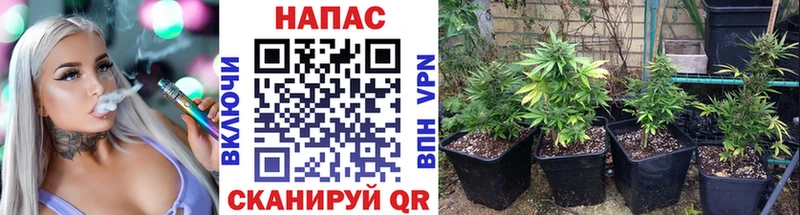 Хочу наркоту Ессентуки MEGA как войти Alpha-PVP ГАШ КОКАИН