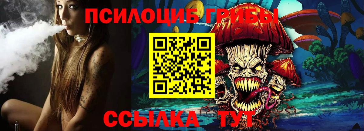 где продают наркотики  Вход с VPN  Ессентуки  Псилоцибиновые грибы Magic Shrooms 
