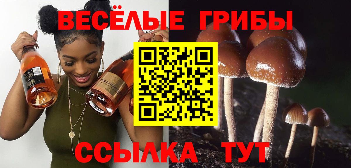 Галлюциногенные грибы мицелий Ессентуки
